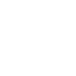 nikola_logo